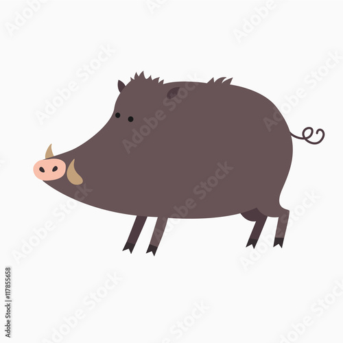 Wild boar pig
