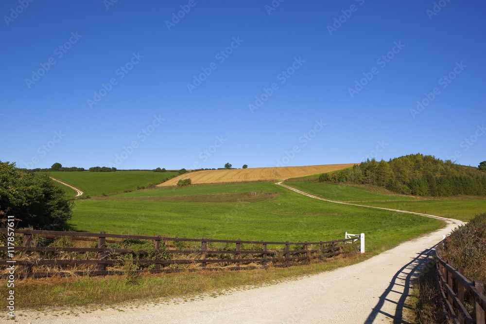 summer country farm track