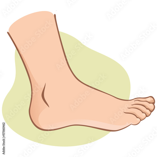 Person, side view human foot. caucasian. Ideal for catalogs, informational and institutional guides