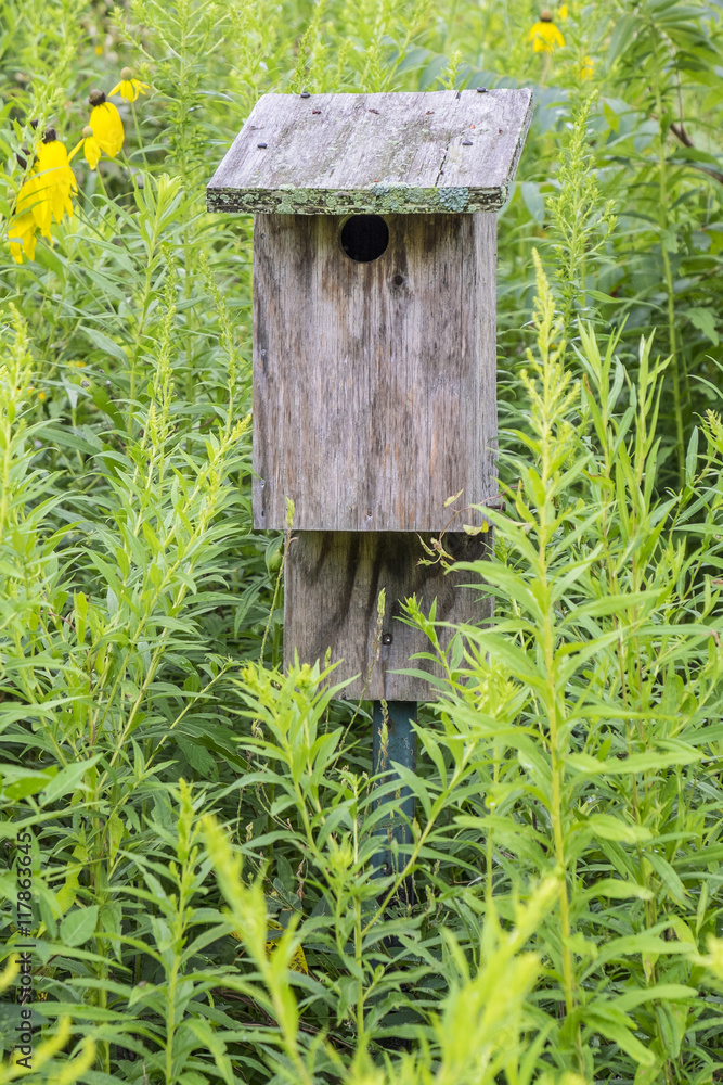 Wooden Bird House Surrounded by Plants in the Outdoors Wooden Bird House Surrounded by Plants in the Outdoors