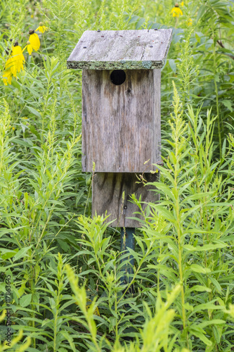 Wooden Bird House Surrounded by Plants in the Outdoors