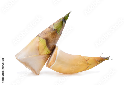 Bamboo shoots isolated on white