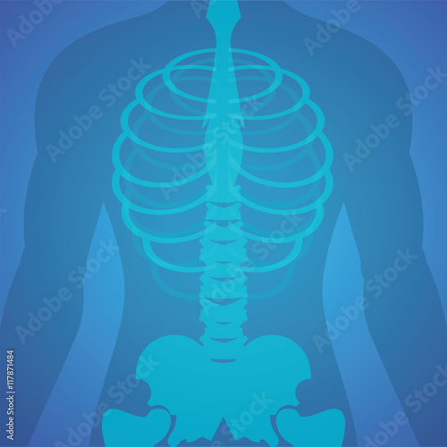 Human xray film.