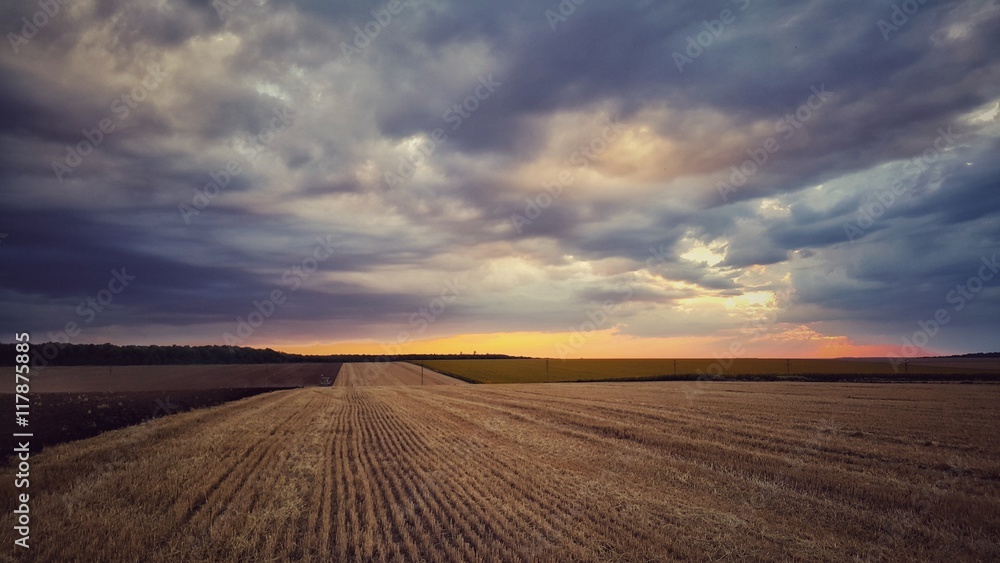 Dramatic cloudscape over wheat field, agriculture concept - obrazy, fototapety, plakaty 