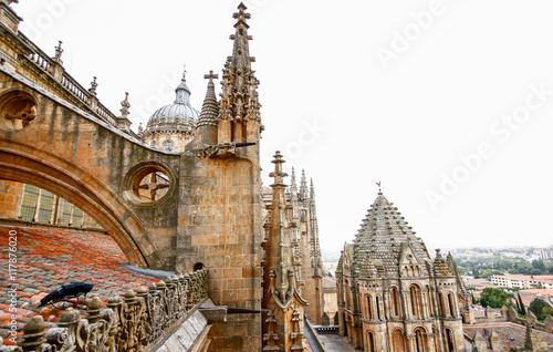 Obraz na płótnie Old Cathedral of Salamanca,Castile and Leon, Spain w salonie