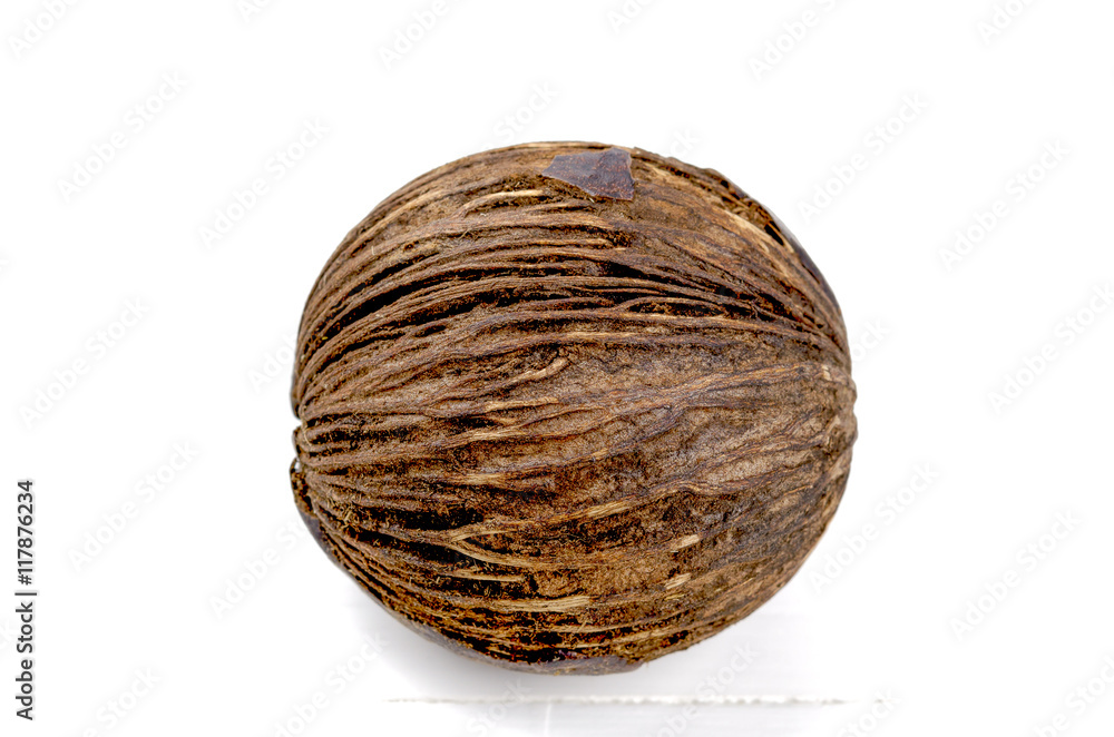 A dried ditabard fruit using for decoration on white background A dried ditabard fruit using for decoration on white background