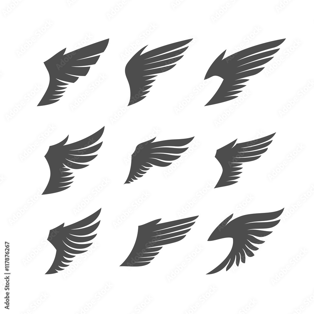 Wings set. Wings set.