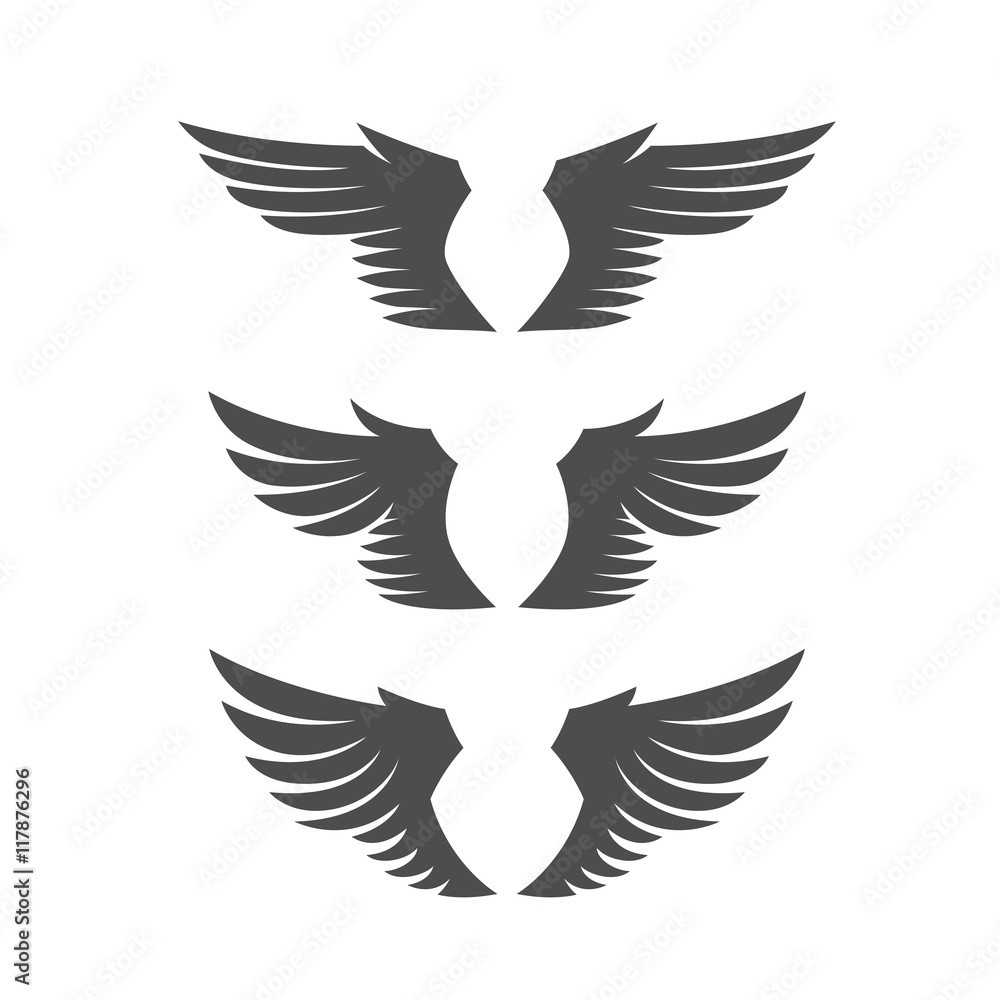 Fototapeta premium Set of angel wings.