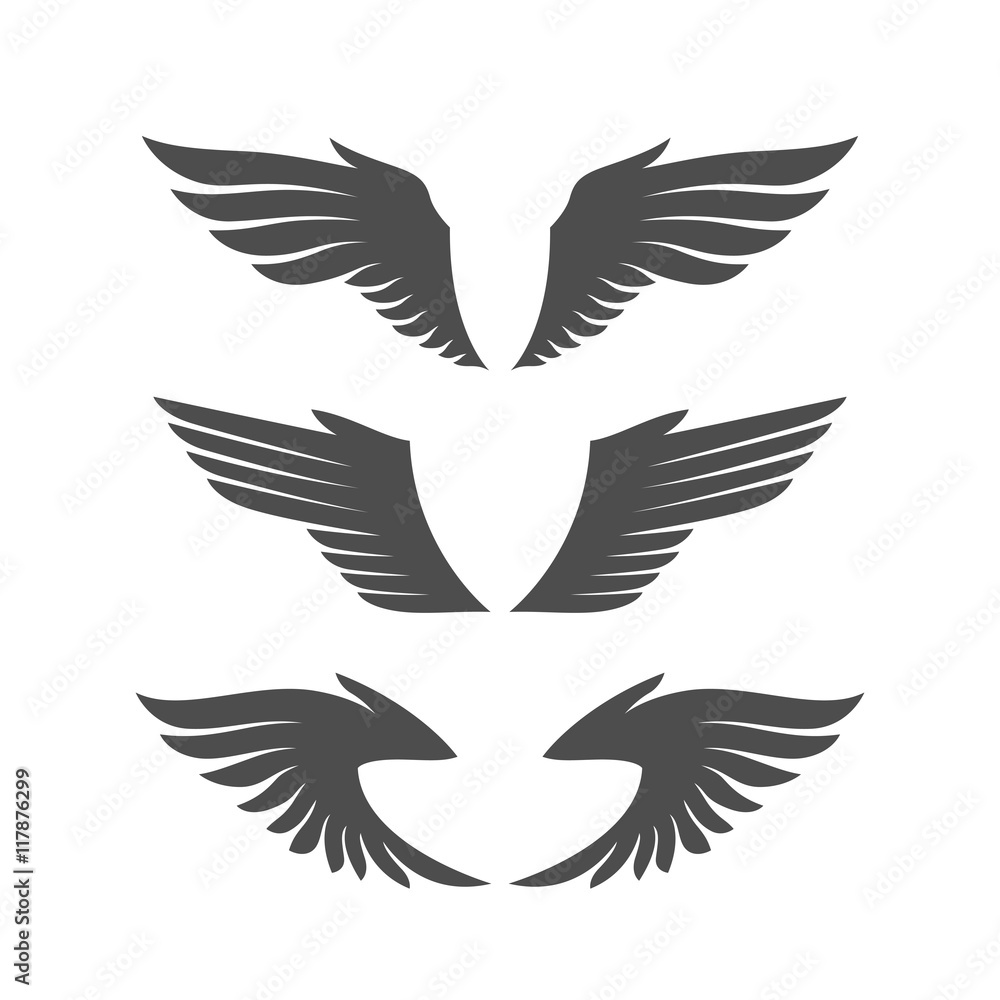 Set of angel wings. Set of angel wings.