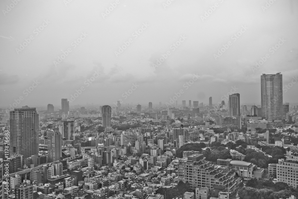 View Black and White City in Tokyo at Japanese