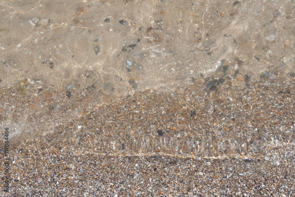 Seashells background. Many sea shells on a beach summer background. Small seashells and sand beach holiday background, summer backdrop.
Seashells background. Many sea shells on a beach summer background. Small seashells and sand beach holiday background, summer backdrop.