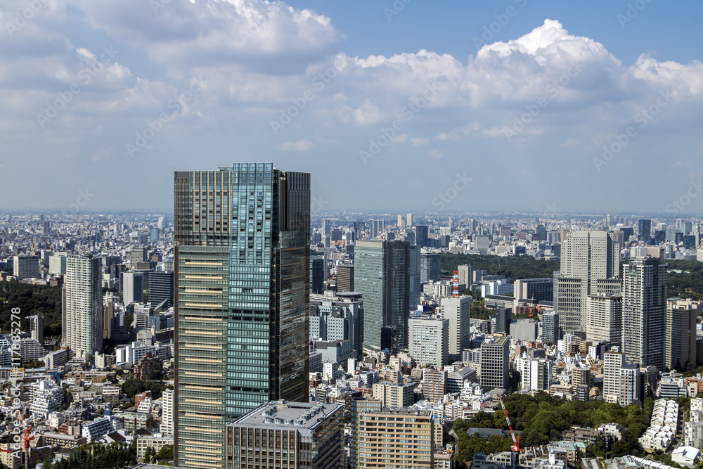 modern cityscape, overlook from skyscraper, tokyo, japan