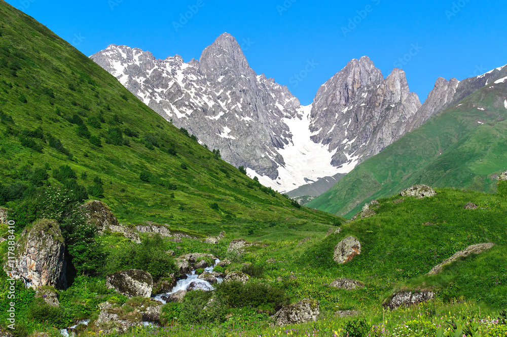 Summer landscape with big stones and mountain snow.
