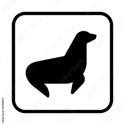 Sea calf icon or harbor seal logo. Flat vector illustration isolated on white background.