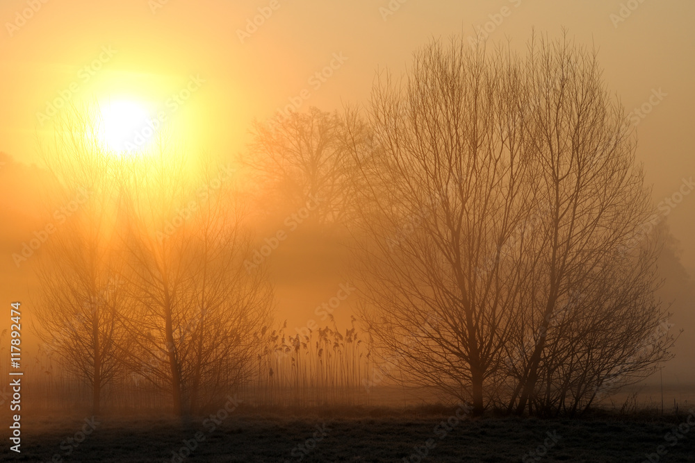 Naklejka premium Sonnenaufgang mit Nebel
