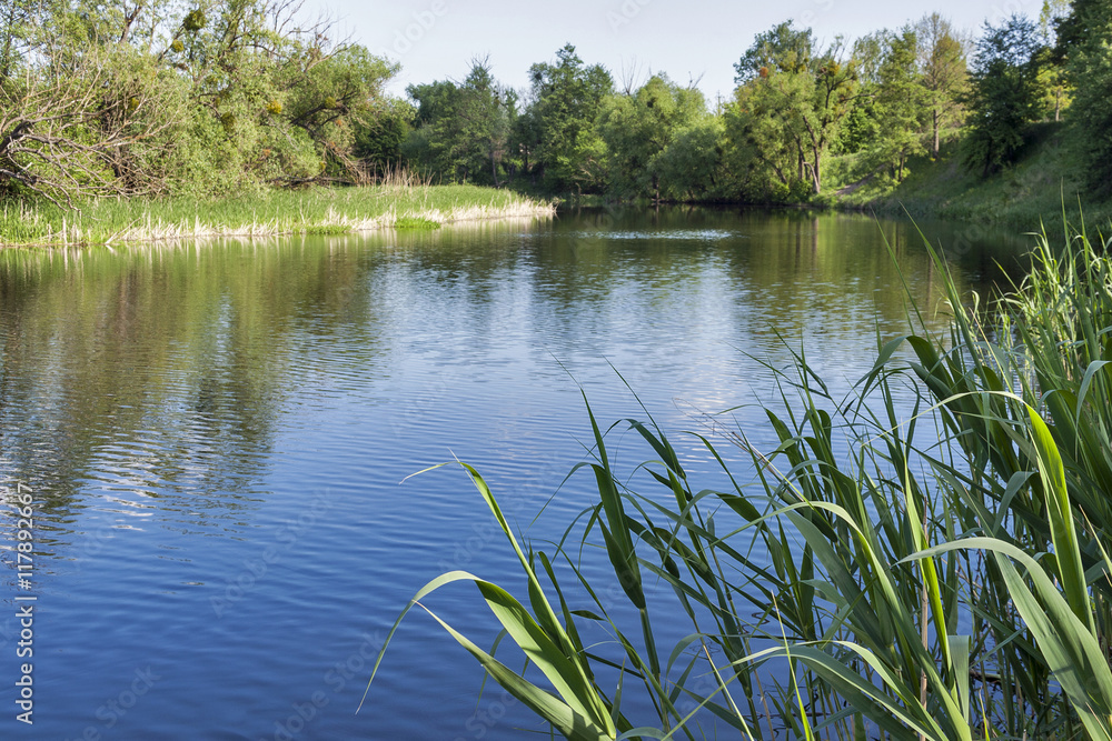 Obraz premium quiet Ros river at summer
