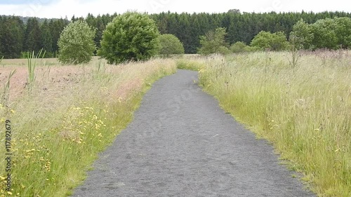 Weg durch das Naturschutzgebiet ulmener Jungferweiher photo