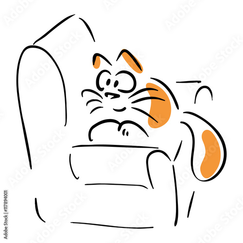 Cat in a chair