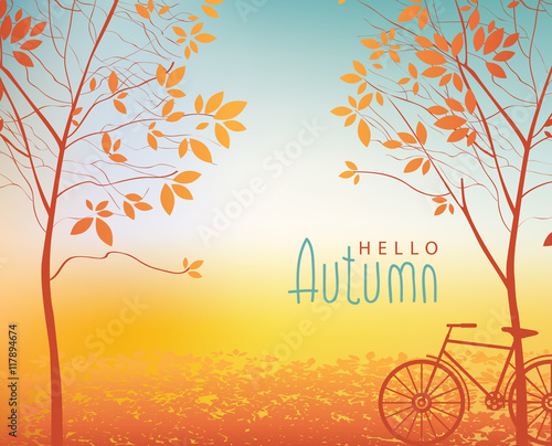 vector autumn landscape with trees in the park and bike