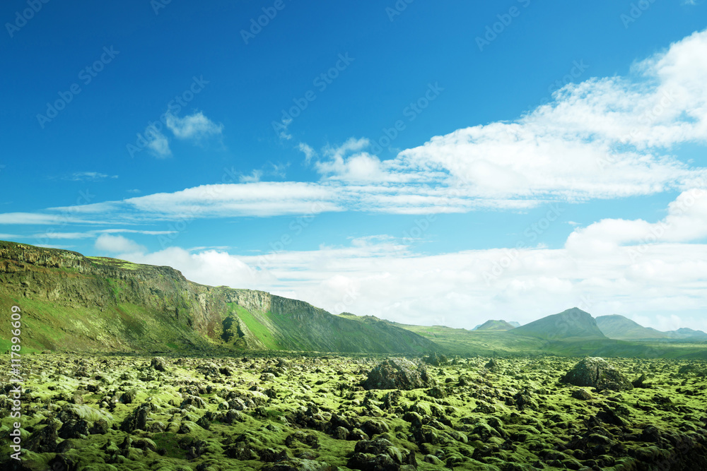 volcanic mossy landscape, Iceland
