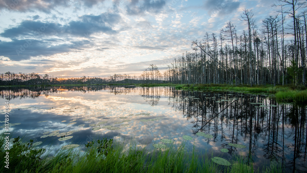 Obraz premium reflections in the lake water at sunrise