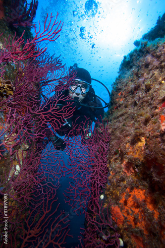Scuba diver and coral reef with red coral . 