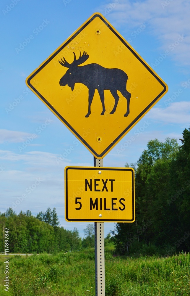 A yellow moose crossing sign in Alaska Stock Photo Adobe Stock