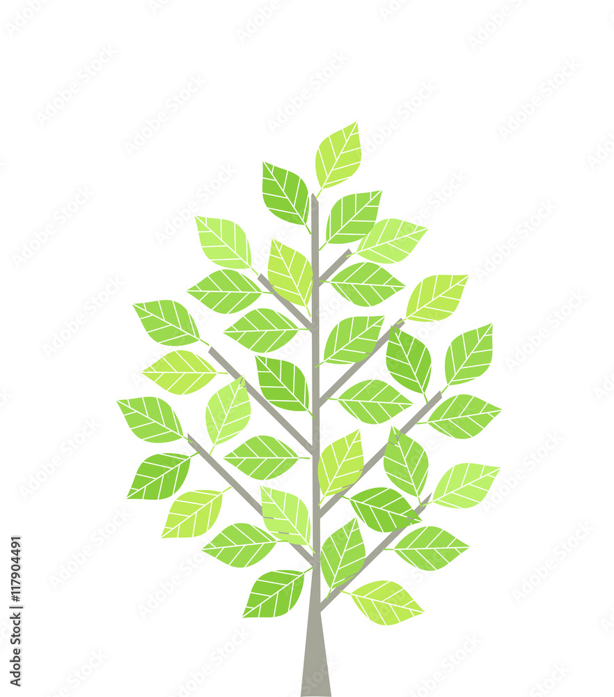 Tree Vector illustration Tree Vector illustration