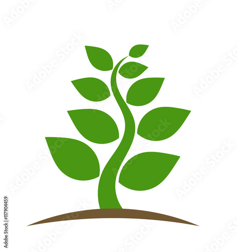 Green plant vector