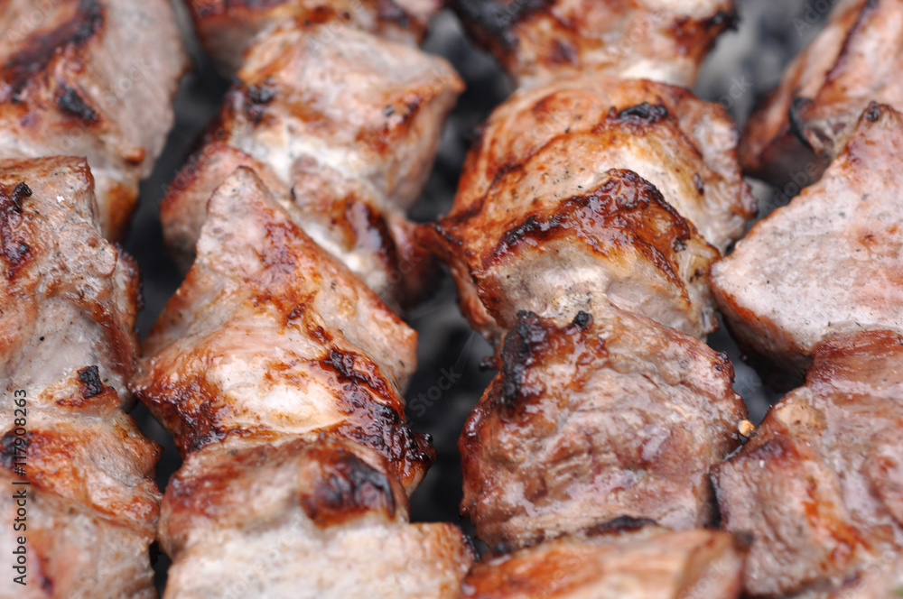 Roasted Barbecue Beef Meat Kebabs