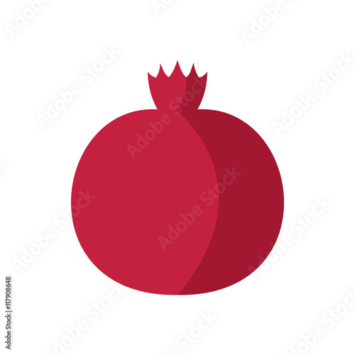 Pomegranate icon in flat style on a white background