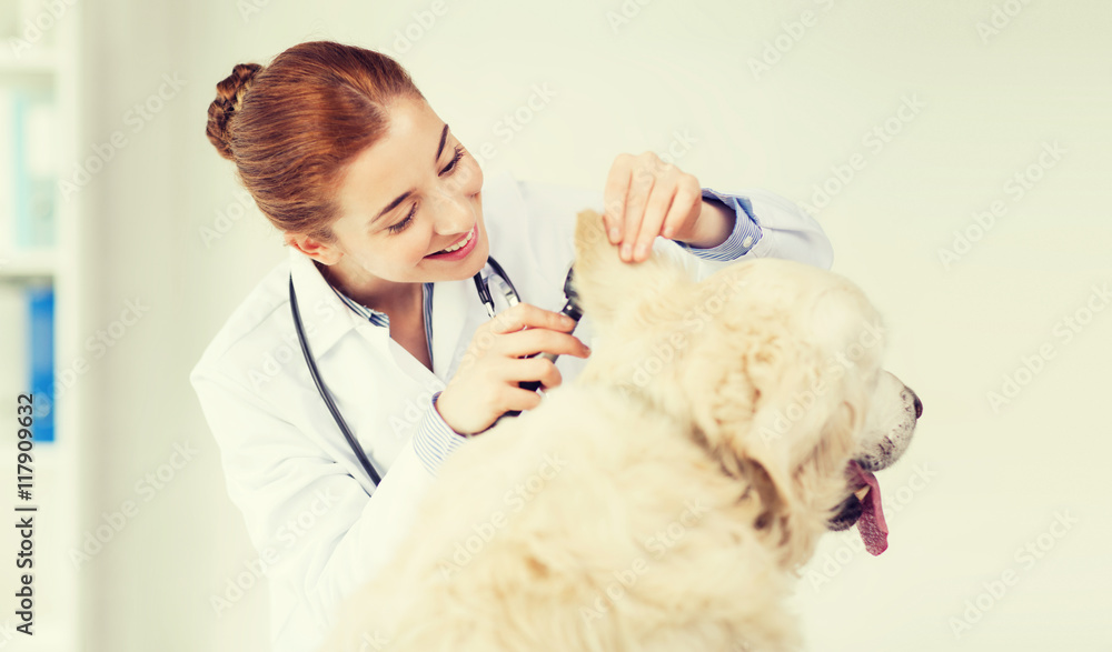 happy doctor with otoscope and dog at vet clinic happy doctor with otoscope and dog at vet clinic