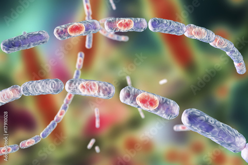Bacillus anthracis, gram-positive spore forming bacteria which cause anthrax and are used as biological weapon, 3D illustration