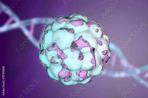 Destruction of a human embryo. 3D illustration which can be used to illustrate teratogenic effect of drugs, viruses, microbes, abortive medicines photo