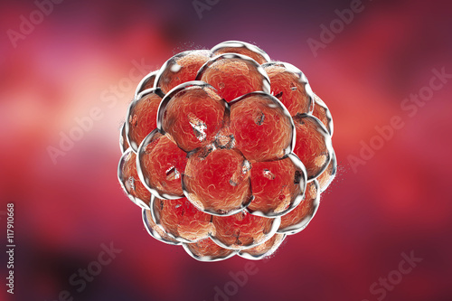 Destruction of a human embryo. 3D illustration which can be used to illustrate teratogenic effect of drugs, viruses, microbes, abortive medicines photo