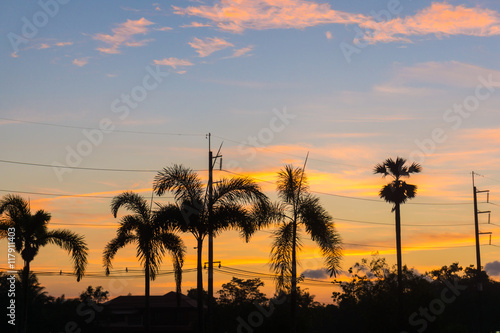 Colorful clouds and palm on horizon at sunrise