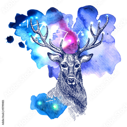 animal on watercolor space