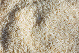Pattern of basmati rice