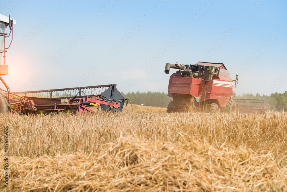 Fototapeta premium combine harvester on a wheat field with blue sky