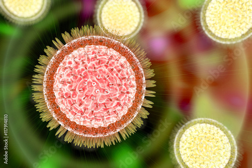 Bilde på lerret Zika virus, 3D illustration
