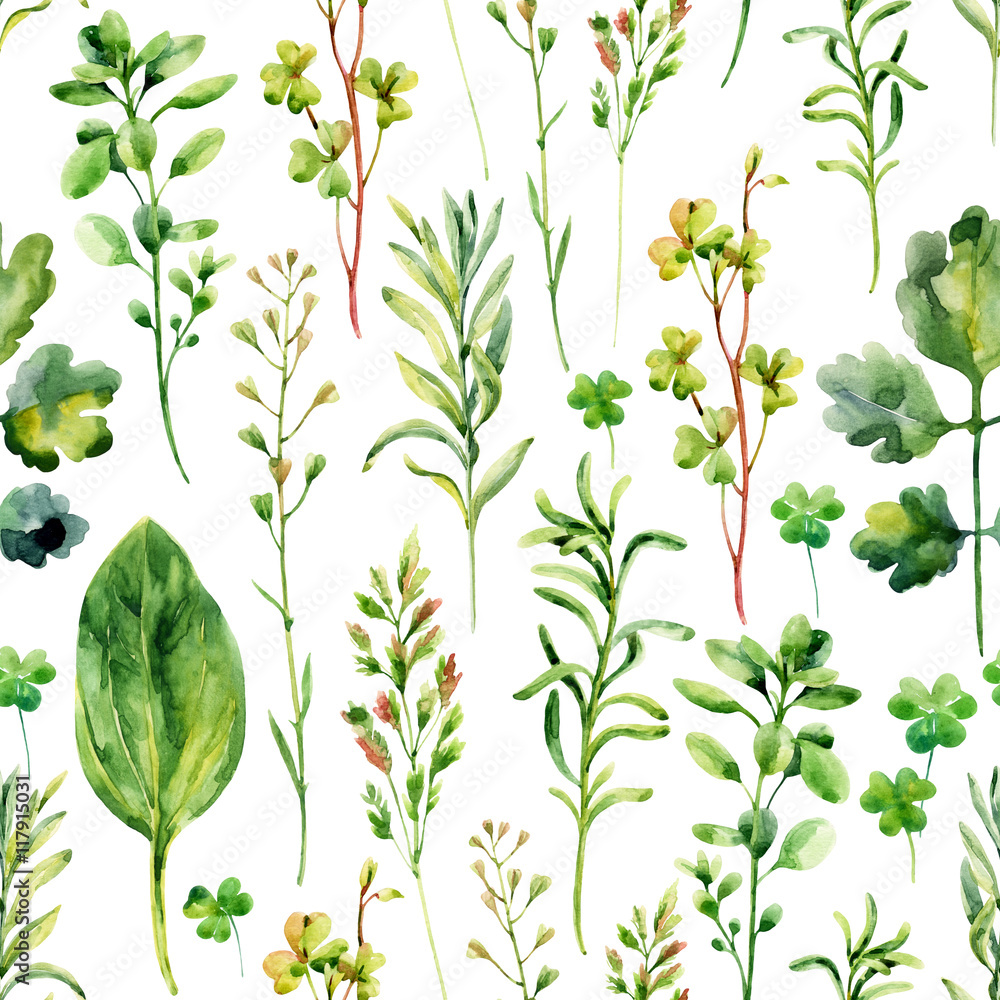 Watercolor meadow weeds and herbs seamless pattern Watercolor meadow weeds and herbs seamless pattern