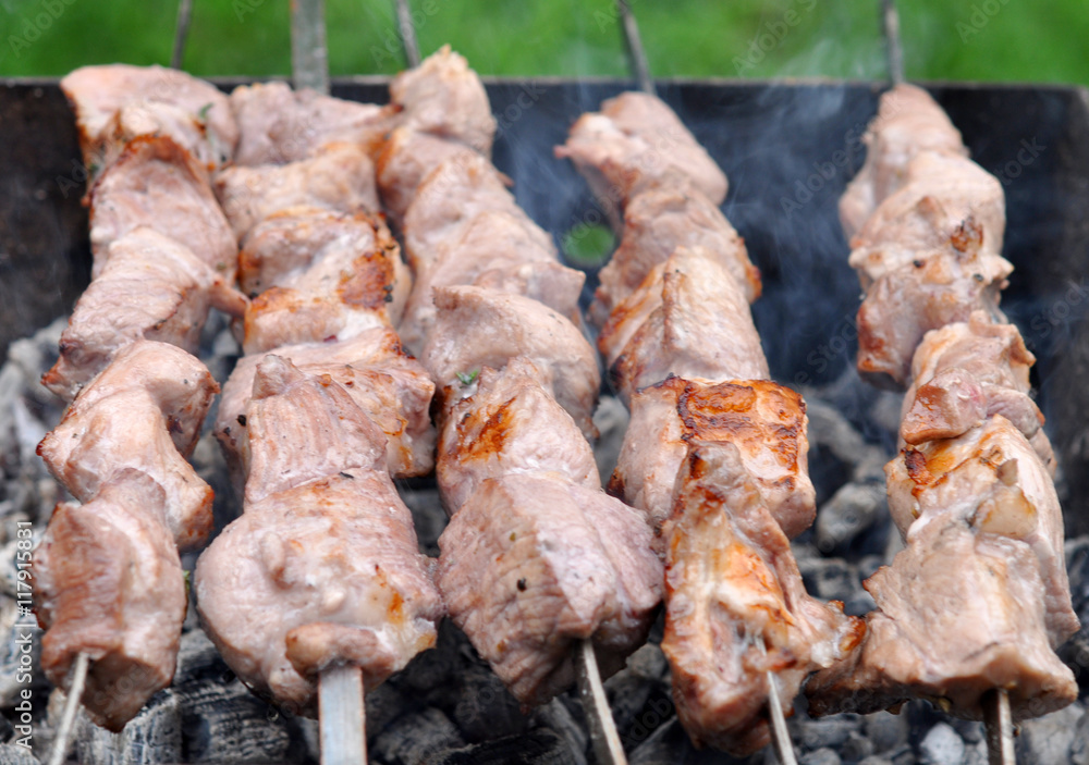Roasted Barbecue Beef Meat Kebabs with Spice, Macro Roasted Barbecue Beef Meat Kebabs with Spice, Macro
