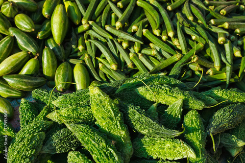 Green vegetables ladyfingers and karela