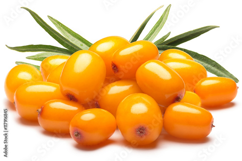 Pile of sea buckthorn berries with leaves, clipping paths