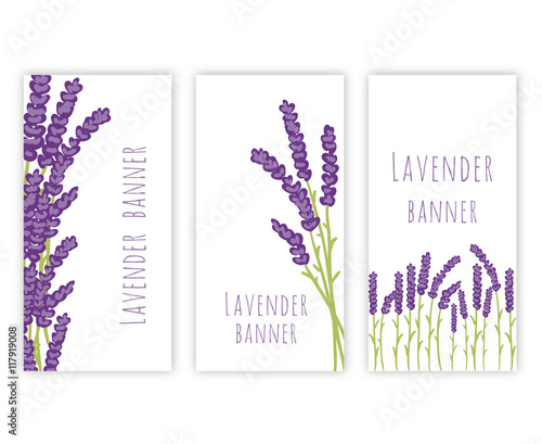 Set of three lavender banners