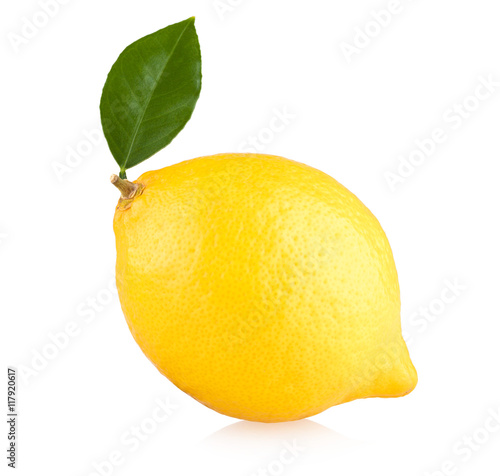 Fototapeta ripe lemon isolated on white background