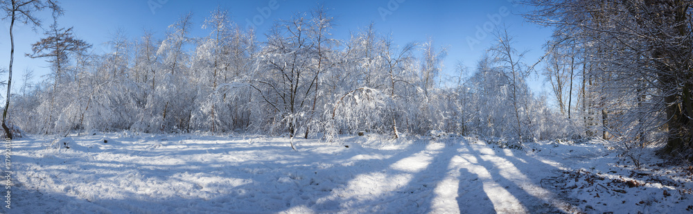 Obraz premium panorama snow landscape