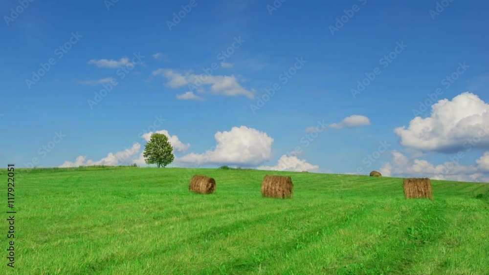 Time lapse shot of lonely tree on field with hay bales
Time lapse shot of lonely tree on field with hay bales
