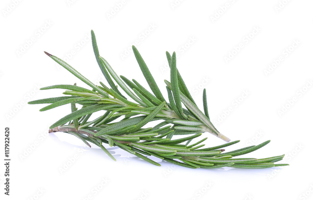 Fototapeta premium Rosemary isolated on white background