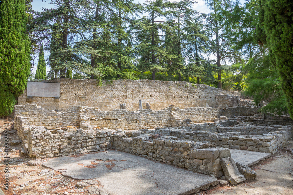 Site archéologique romain de Puymin à Vaison-la-Romaine